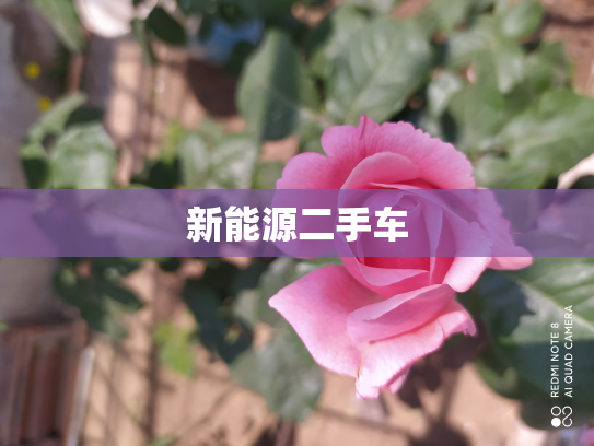 新能源二手车