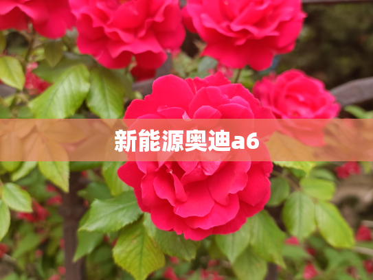 新能源奥迪a6