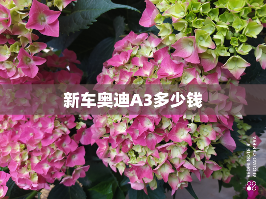 新车奥迪A3多少钱
