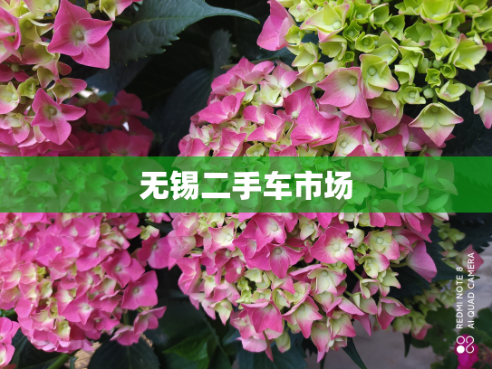 无锡二手车市场