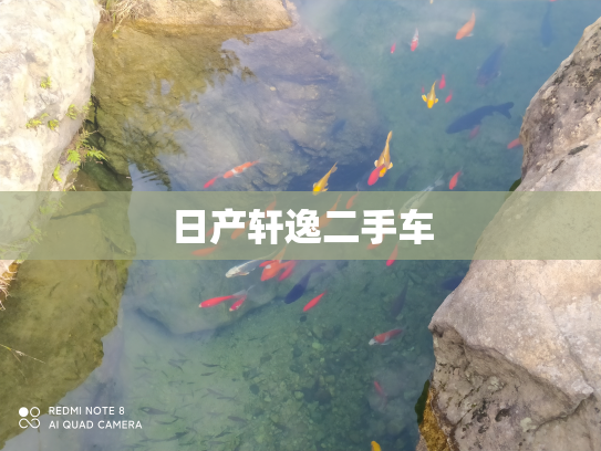 日产轩逸二手车