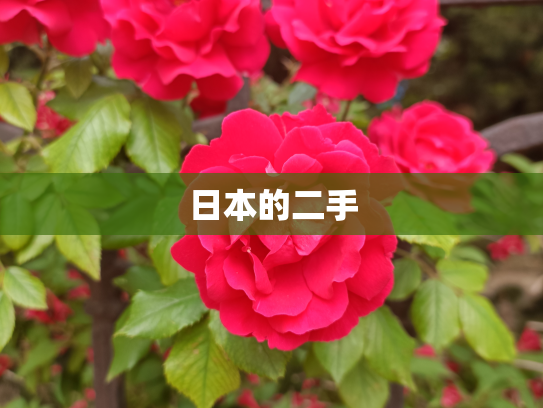日本的二手
