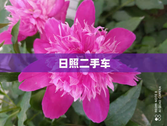日照二手车
