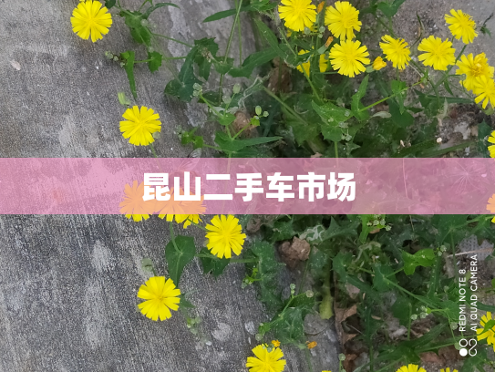 昆山二手车市场