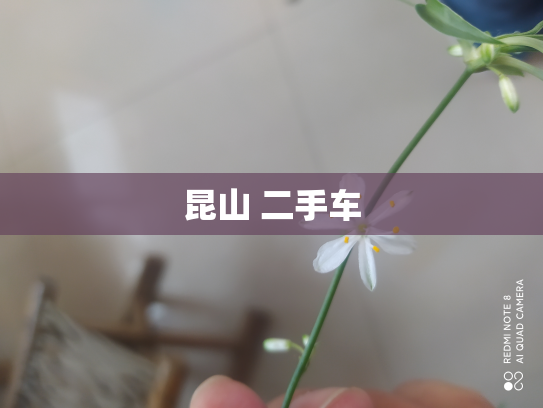 昆山 二手车
