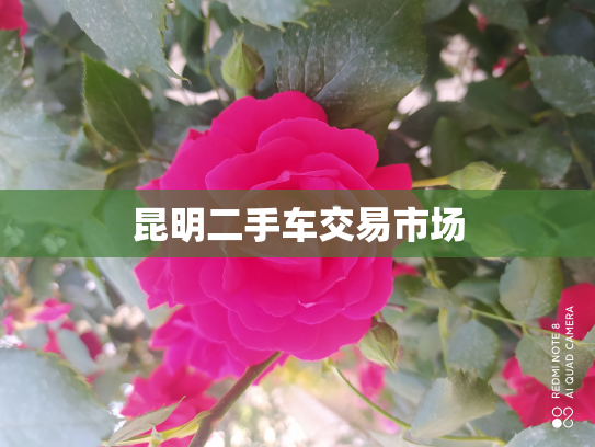 昆明二手车交易市场