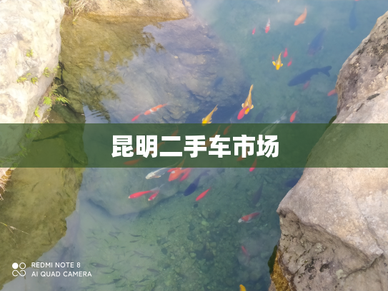 昆明二手车市场