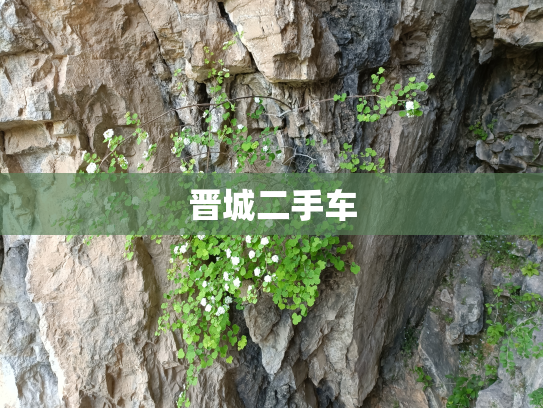 晋城二手车