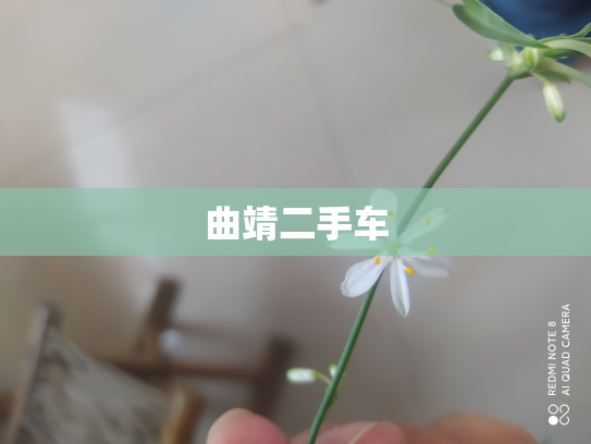 曲靖二手车