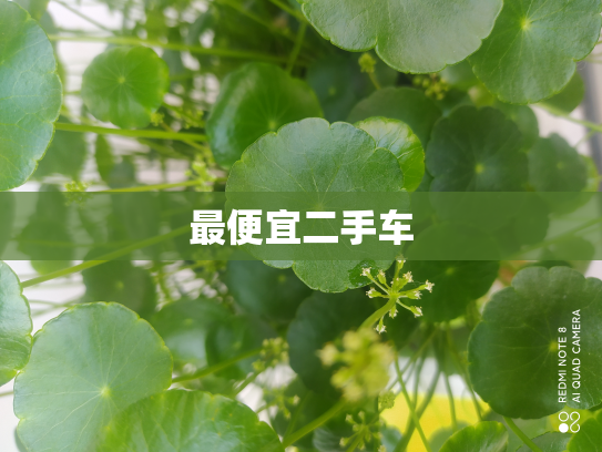最便宜二手车