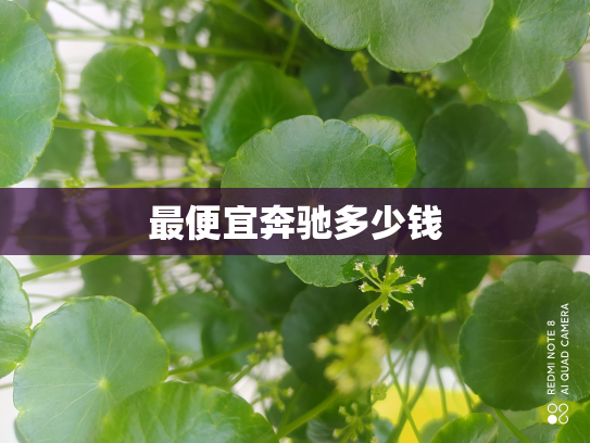 最便宜奔驰多少钱
