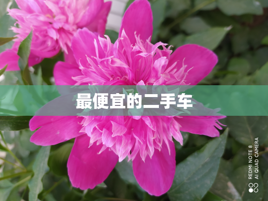 最便宜的二手车