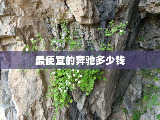 最便宜的奔驰多少钱