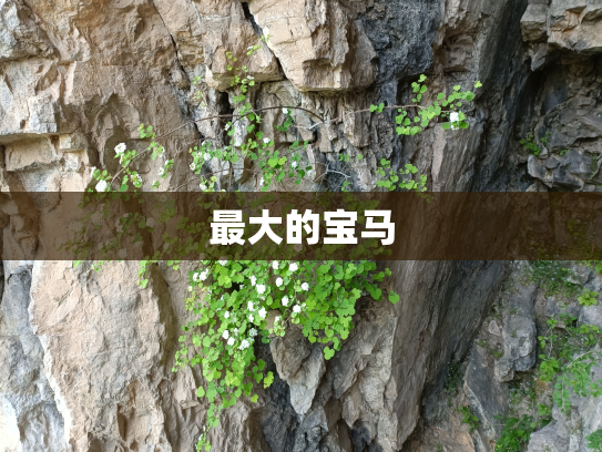 最大的宝马
