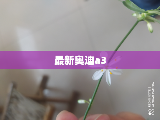 最新奥迪a3