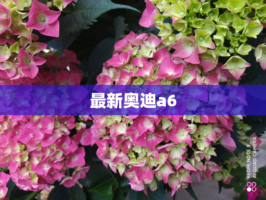 最新奥迪a6
