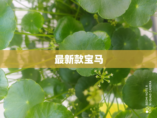 最新款宝马