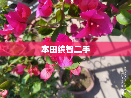 本田缤智二手