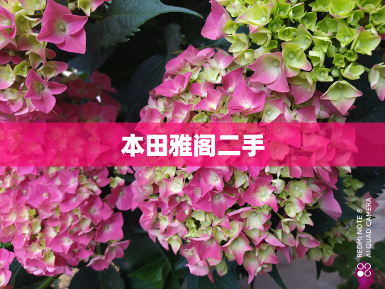本田雅阁二手