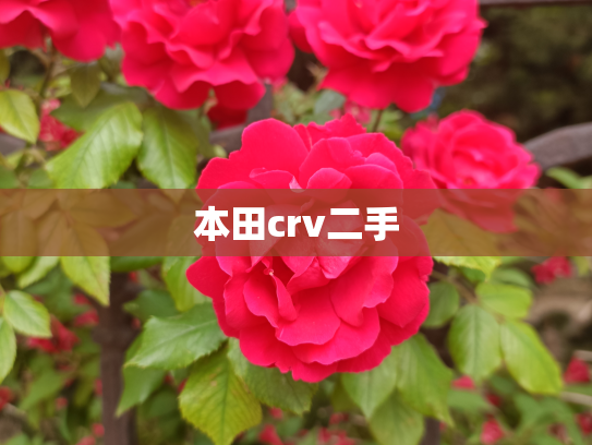 本田crv二手