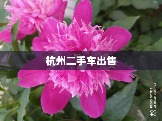 杭州二手车出售
