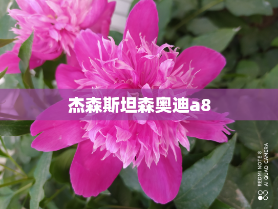杰森斯坦森奥迪a8
