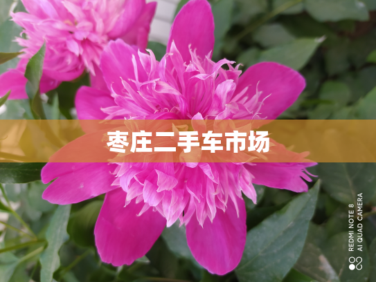 枣庄二手车市场