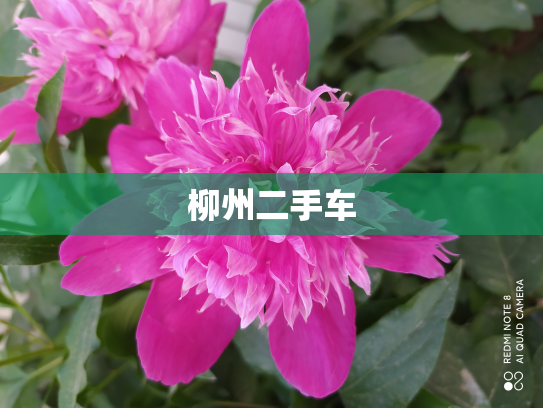 柳州二手车