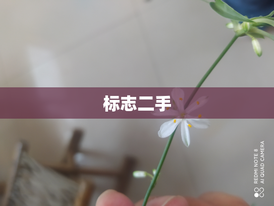 标志二手