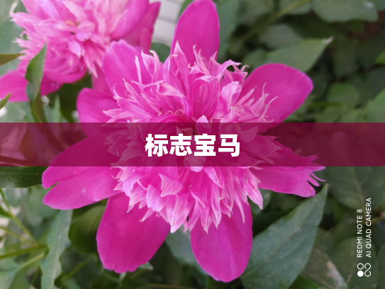 标志宝马