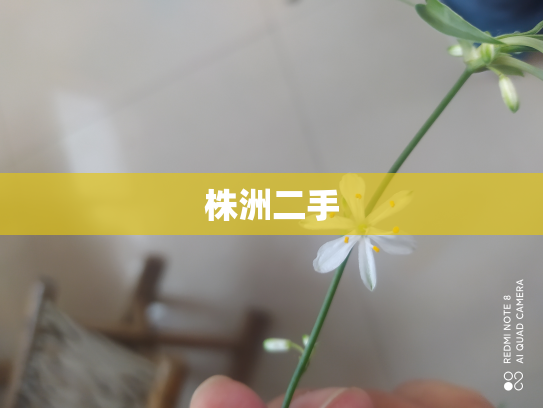 株洲二手