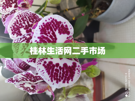 桂林生活网二手市场