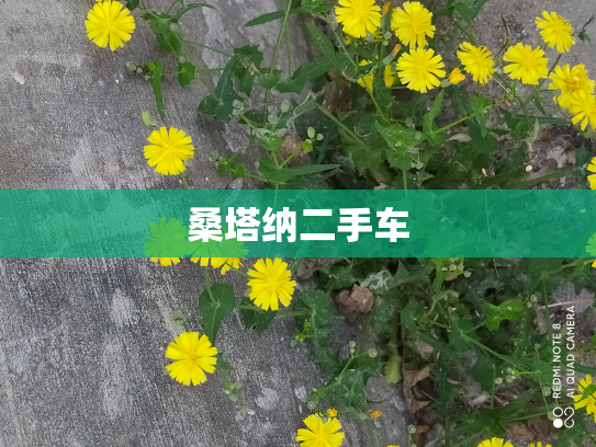 桑塔纳二手车