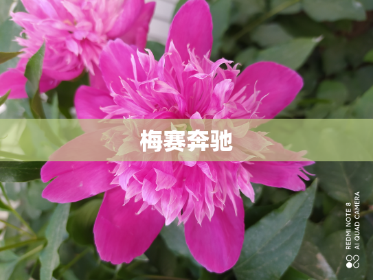 梅赛奔驰