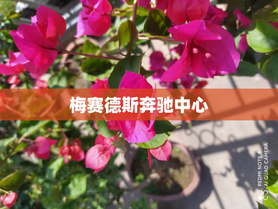 梅赛德斯奔驰中心