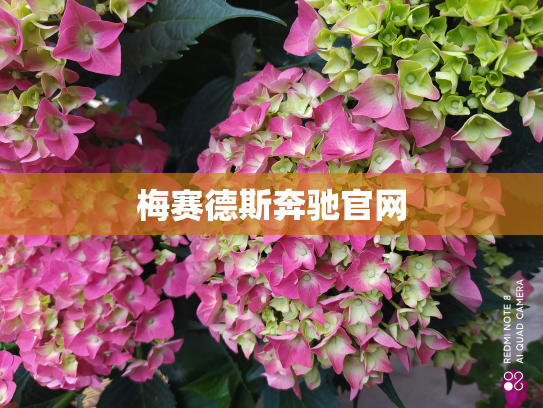梅赛德斯奔驰官网