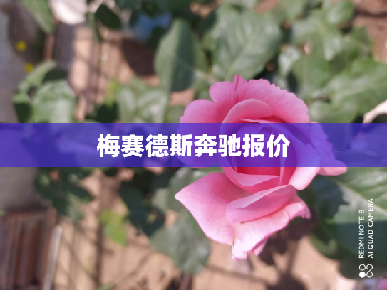 梅赛德斯奔驰报价