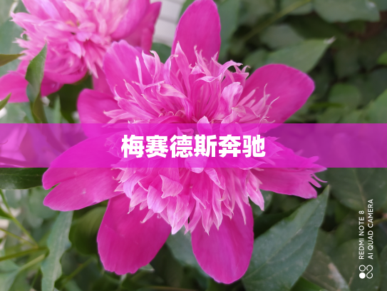 梅赛德斯奔驰