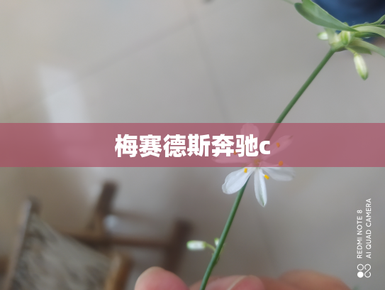 梅赛德斯奔驰c