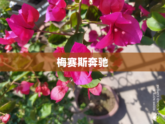 梅赛斯奔驰