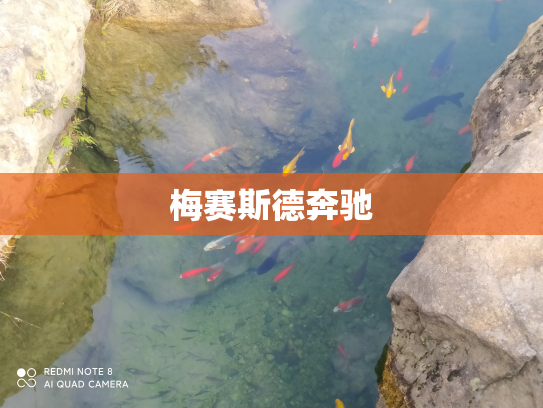 梅赛斯德奔驰