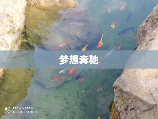 梦想奔驰