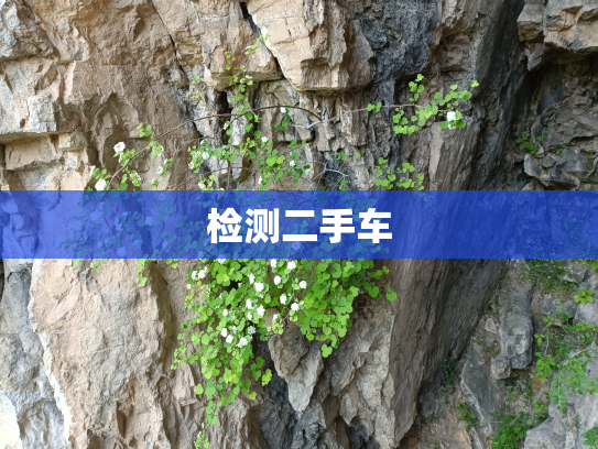 检测二手车