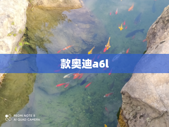 款奥迪a6l