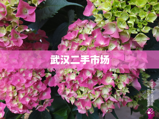 武汉二手市场