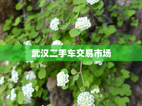 武汉二手车交易市场