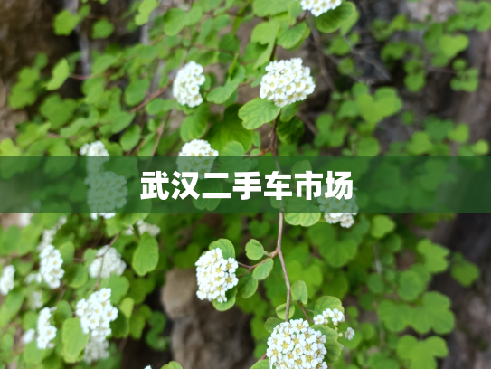 武汉二手车市场