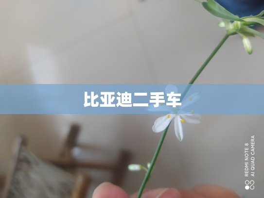 比亚迪二手车