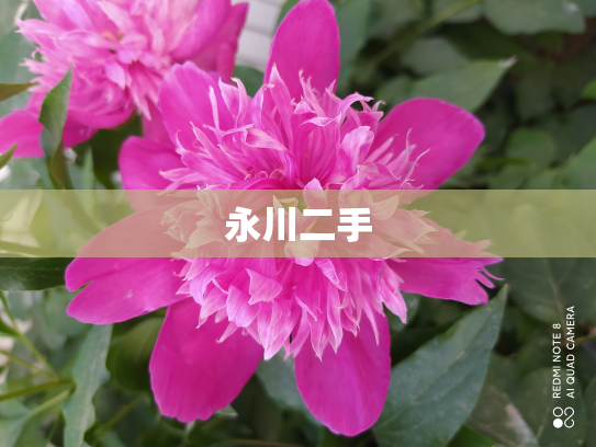永川二手