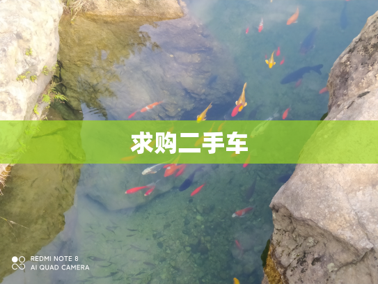 求购二手车
